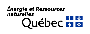 Logo MERN